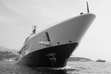 Palladium36BW.JPG
